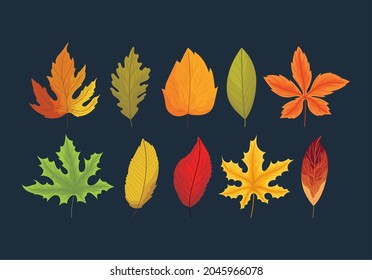 set of ten autumn leaves