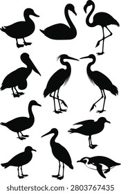 Set of ten black water bird silhouettes featuring duck, swan, flamingo, pelican, heron, egret, goose, seagull, cormorant, and penguin in different standing and swimming poses. Ideal for wildlife logos, nature designs, educational projects, stickers, Cricut, and laser cutting.