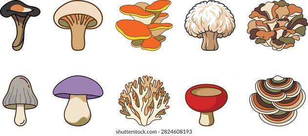 Set of ten different hand drawn wild mushroom species and fungi varieties with mushrooms botanical illustration mycology vegetation collection isolated decorative elements colorful