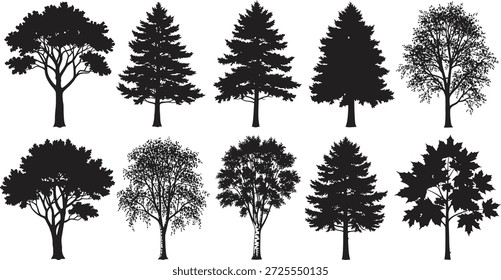 A set of ten different tree silhouettes in black, showcasing various shapes and sizes