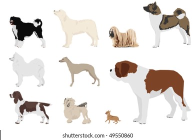 set of ten dog breeds