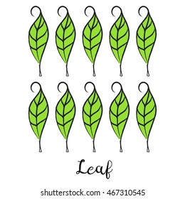 set of ten green hand drawn leaves with type 
