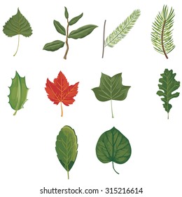Set of ten green and red leaves