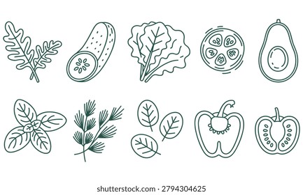 Set of ten healthy vegetable and herb line art icons featuring cucumber avocado pepper tomato lettuce spinach and fresh dill