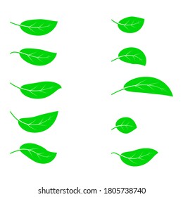 Листья. Листочки набор. Листья вектор. A set of ten leaves of a tree of different shapes. Green color. Vector drawing.