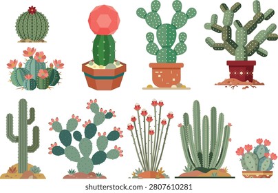 A set of ten minimalist flat vector illustrations featuring various desert cactus and arid plants such as Saguaro, Prickly Pear, Barrel Cactus, Organ Pipe, Moon Cactus, Ocotillo, Hedgehog, Cholla, Bunny Ears, and Star Cactus