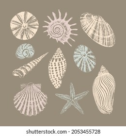 Set of ten seashells. Black ink brush texture.