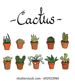 Set of ten succulents/ cactus isolated vector
