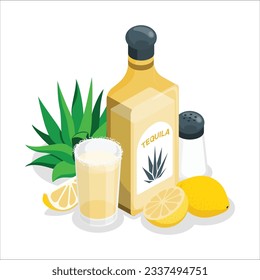Set of tequila bottle, shot, salt mill, agave and slice of lime, sketch vector illustration isolated on white background. Set of hand drawn tequila glass and bottle, salt, lime and agave cactus. 2178