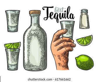 Set for tequila. Hand holding and clinking glass, bottle, salt, lime whole and slice. Vintage color vector engraving illustration for poster, invitation to party. Isolated on white background