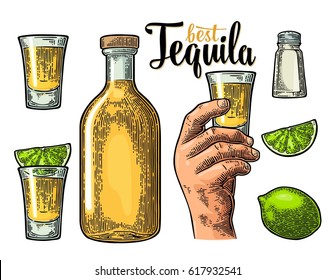 Set for tequila. Hand holding and clinking glass, bottle, salt, lime whole and slice. Vintage color vector engraving illustration for poster, invitation to party. Isolated on white background