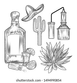 Set of tequila. Shot glass and bottle tequila, salt, lime, blue agave, copper cube, sombrero, cactus. Engraving vintage style. Vector illustration.