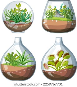 Set of terrarium plant in jar illustration