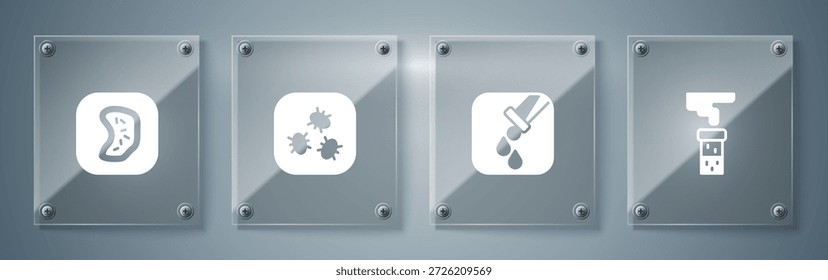 Tubo de ensayo y matraz, bacterias y . Paneles de vidrio cuadrados. Vector