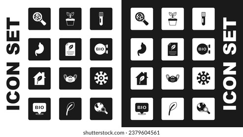 Set Test tube and flask, Eco paper with leaf, Human stomach, Microorganisms under magnifier, Bio healthy food, Plant in pot, Bacteria and friendly house icon. Vector