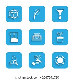 Set Test tube and flask, Plant in hand, Molecule, pot, Stomach with magnifying glass, Laboratory glassware or beaker, Funnel filter and  icon. Vector