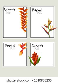 Set of text boxes for bullet journal or notes with tropical plans, flowers and birds. Stickers, elements for design.  Vector illustration.
