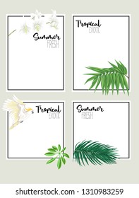 Set of text boxes for bullet journal or notes with tropical plans, flowers and birds. Stickers, elements for design.  Vector illustration.
