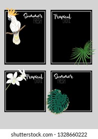 Set of text boxes for bullet journal or notes with tropical plans, flowers and birds. Stickers, elements for design on black background.  Vector illustration.
