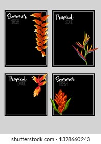 Set of text boxes for bullet journal or notes with tropical plans, flowers and birds. Stickers, elements for design on black background.  Vector illustration.
