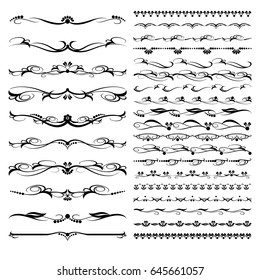 Set of text delimiters and floral elements and ornamental calligraphic lines. Vector Illustration.