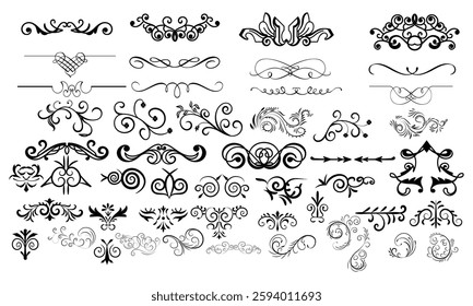 set of text delimiters and scroll elements, ornate vintage frames, vector illustration