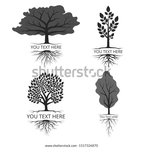 Set Text Template Designs Tree Roots Stock Vector (Royalty Free ...