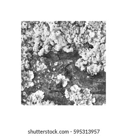 Set texture cracks. Grunge texture of cracks for design and execution. Vector illustration