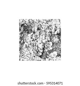 Set texture cracks. Grunge texture of cracks for design and execution. Vector illustration