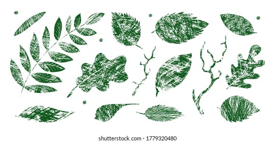 Conjunto de hojas verdes de textura. Vector grunge pincel texturado moderno, garabateado. Resumen de la impresión de la planta. Elementos naturales dibujados a mano para fondos, plantillas, papel pintado, tarjeta