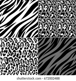 set texture tiger leopard