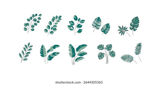 Set of Textured Green Leaf and Branch Illustrations