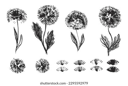 Set of textured hand drawn black ink dandelion flowers, blossoms, seeds. Sketch vector floral blossom and grass elements texture for pattern design, greeting card decoration, logo, print, sticker
