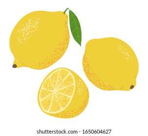 Set of textured lemons. Isolated on a white background. Vector illustration.