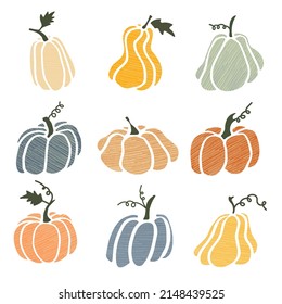 Set of textured pumpkins isolated on white background. Elements for autumn decorative design, halloween invitation, harvest thanksgiving. Vector illustration