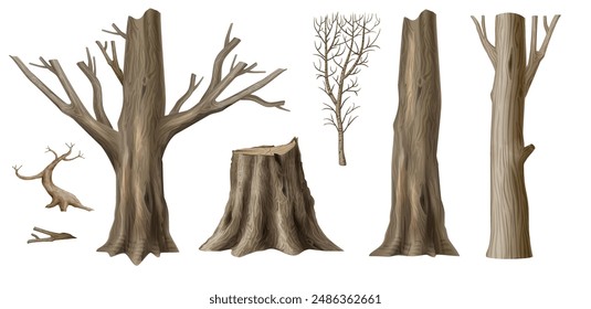 Set of textures of wooden log posts. The trunk of a tree , a log and column. Vector graphics