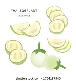 Set of Thai Eggplant Vegetable Slices. Organic and healthy food isolated element Vector illustration.