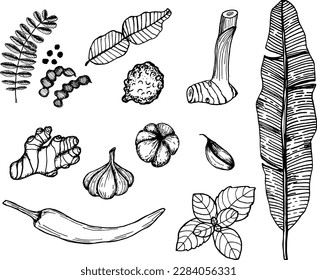 Set of thai spices: garlic, pepper, kaffir, galangal, basil, banana leaf and tamarind.