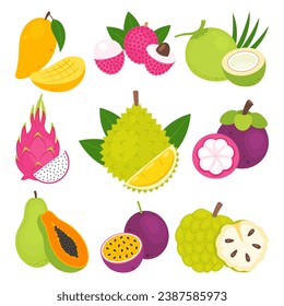 Frutos tailandeses aislados en un fondo blanco. Mango, lychee, coco, fruta del dragón, durión, mangostino, papaya, fruta de la pasión y manzana de azúcar. Ilustración vectorial de frutos exóticos tropicales.