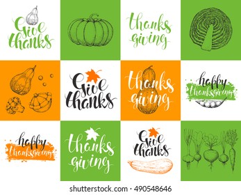 Set Thanksgiving Day cards. Handwritten modern calligraphy inscriptions with pumpkin and maple leaf. Vegetables in engraving style. Vector illustration. Typography, lettering. 