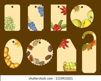 Set of Thanksgiving Day labels for seasonal autumn holiday celebration. 