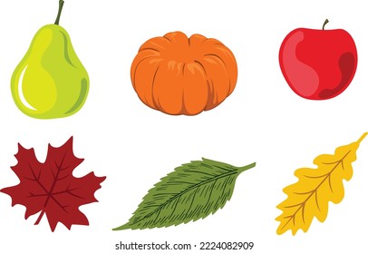 set of thanksgiving day ornament and things icon pear, pumpkin, apple, maple leaf vector illustration