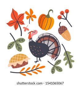 A set of thanksgiving items. Turkeys, autumn leaves, orange pumpkins, birthday cake, berries and acorns. Vector illustration.