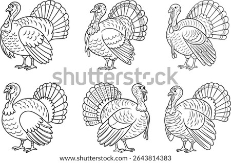 Set of Thanksgiving Turkey Line Art Vectors – Festive Holiday Bird Illustrations Collection