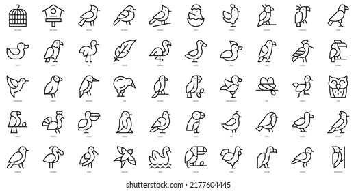 Set of thin line birds Icons. Vector illustration