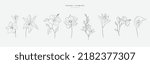 Set of thin line flowers and leaves. Trendy botanical elements. Hand drawn line branches and blooming. Wedding elegant wildflowers for invitation save the date card. Vector trendy greenery