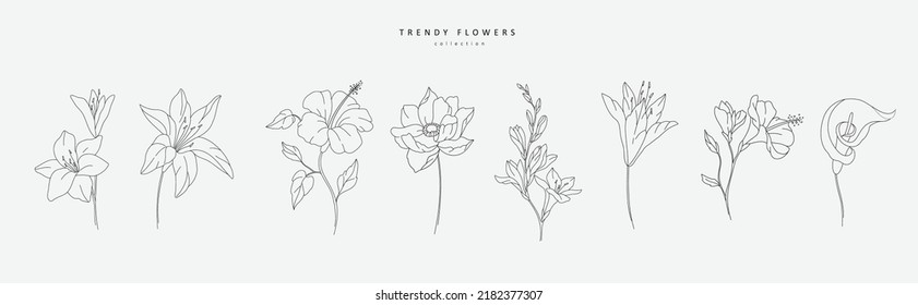 Set of thin line flowers and leaves. Trendy botanical elements. Hand drawn line branches and blooming. Wedding elegant wildflowers for invitation save the date card. Vector trendy greenery