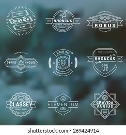 Set of Thin Line Hipster Labels, Logotypes, Insignias for Your Business. Design Template