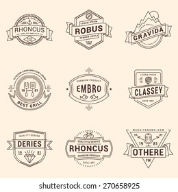 Set of Thin Line Hipster Labels, Logotypes, Insignias for Your Business. Design Template