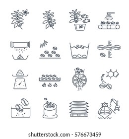 set of thin line icons coffee production and processing